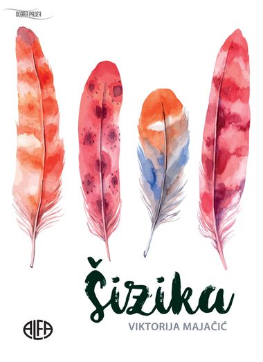 slika programa